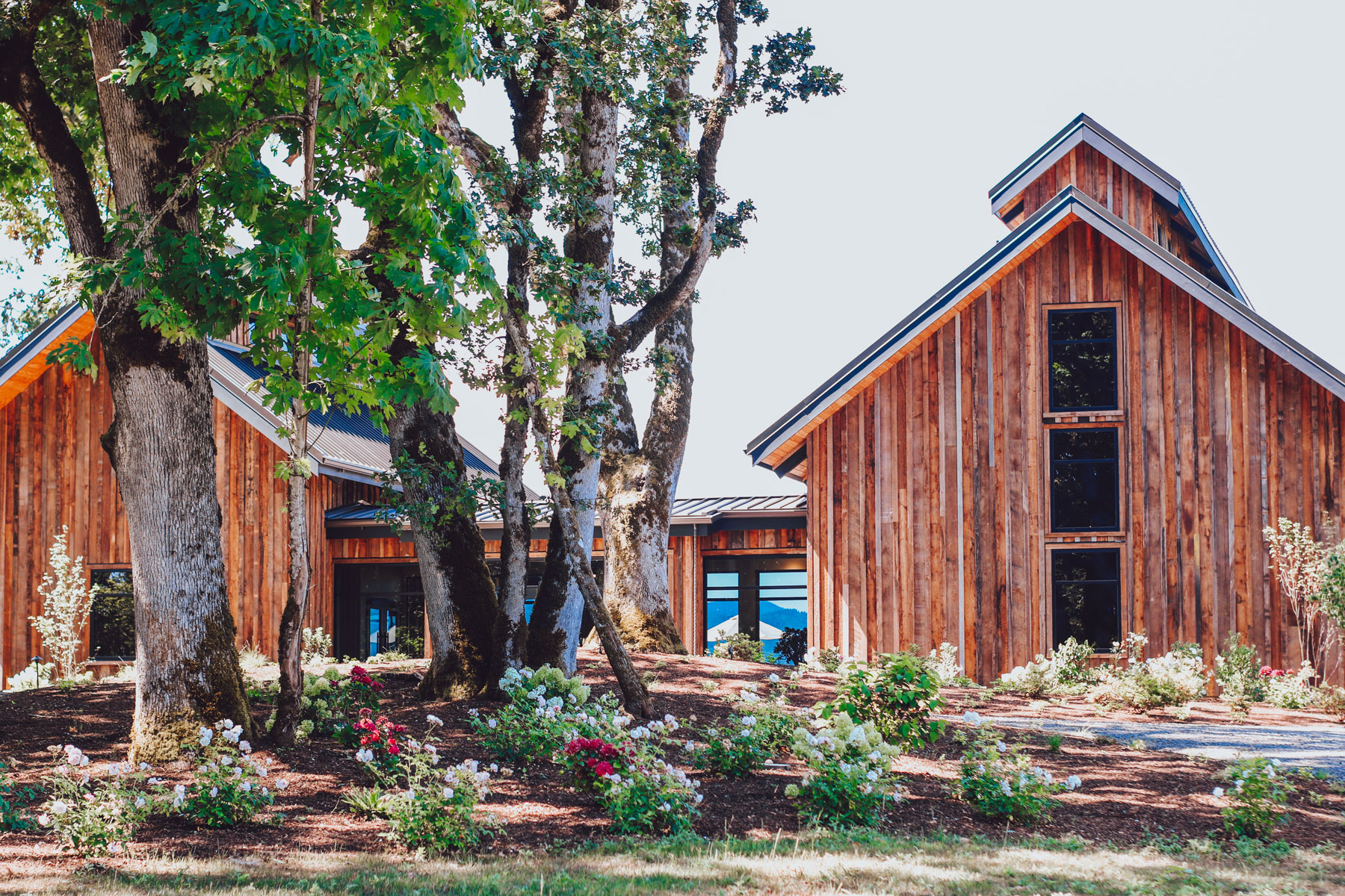 Resonance Winery Yamhill-Carlton Oregon