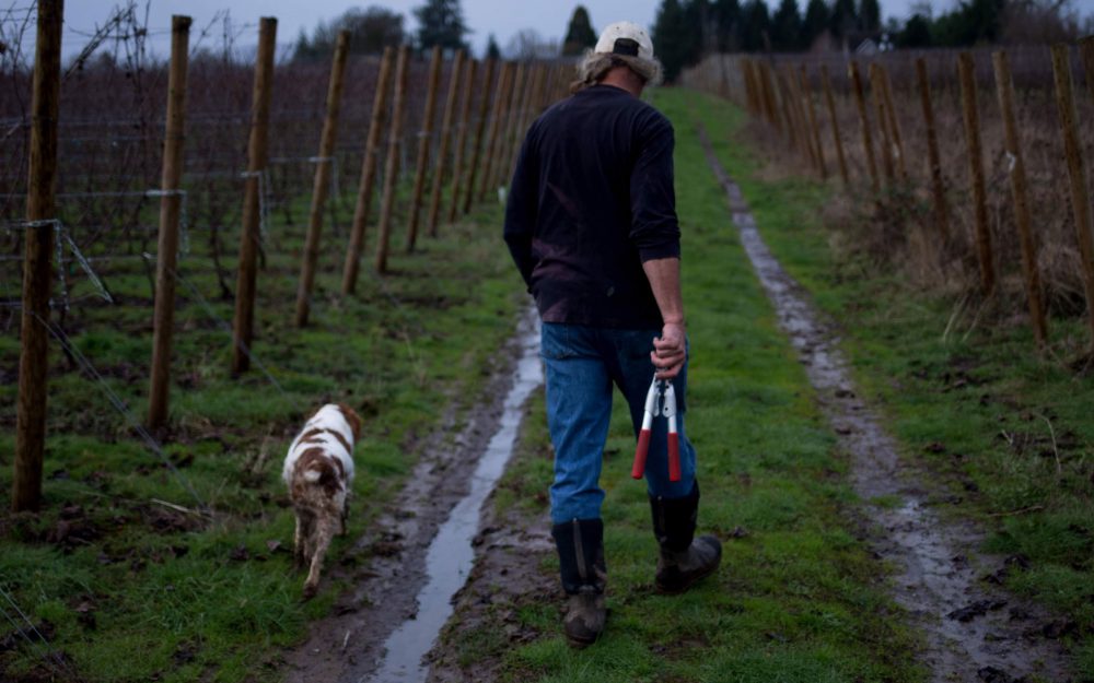Terry from Stone Griffon with his dog in the vineyard