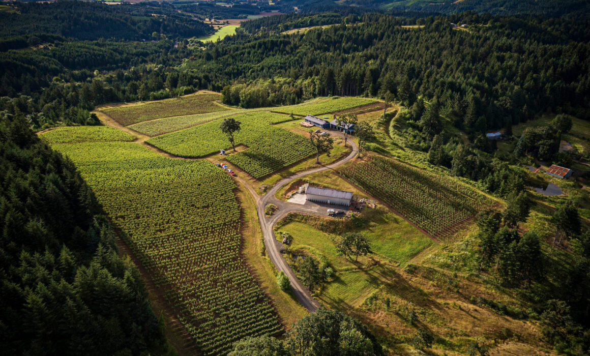 Old Wagon Road Vineyard, the estate planting for Chris James Cellars in Carlton, Ore. (CWK Photography / Courtesy of Chris James Cellars)