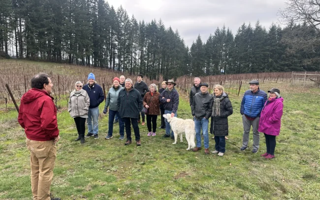 Vineyard tour at Kristof Farms