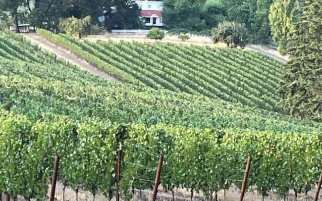 Kristof Farms
