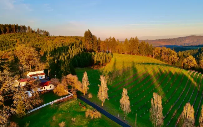 Aerial view over Kristof Farms